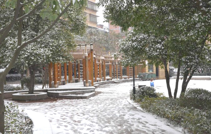 初雪逢周末，多個(gè)項(xiàng)目及時(shí)展開清理工作